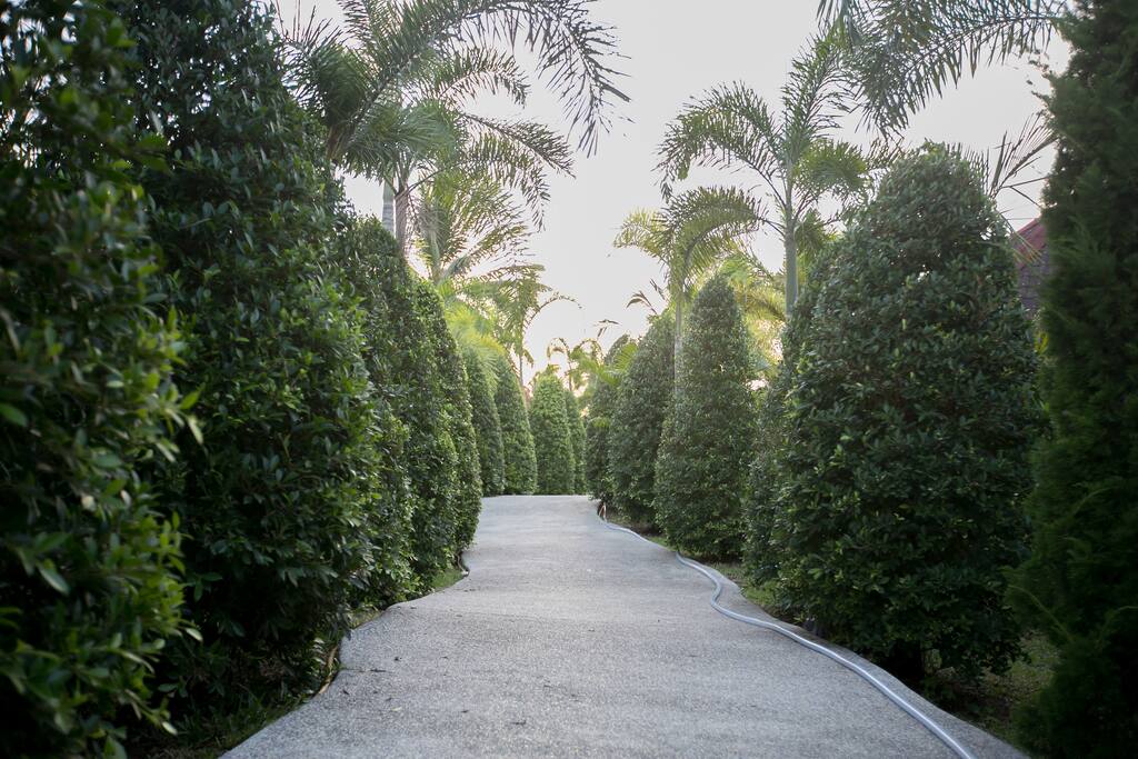 Garden path between bungalows