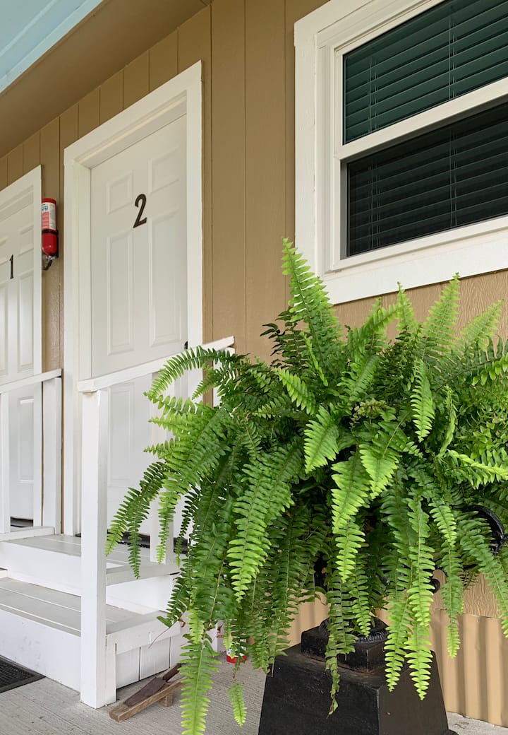 Little Oaks Lodging Ranch Room 2 Guesthouses for Rent in Ledbetter