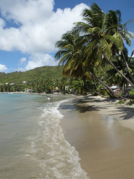 Local beach