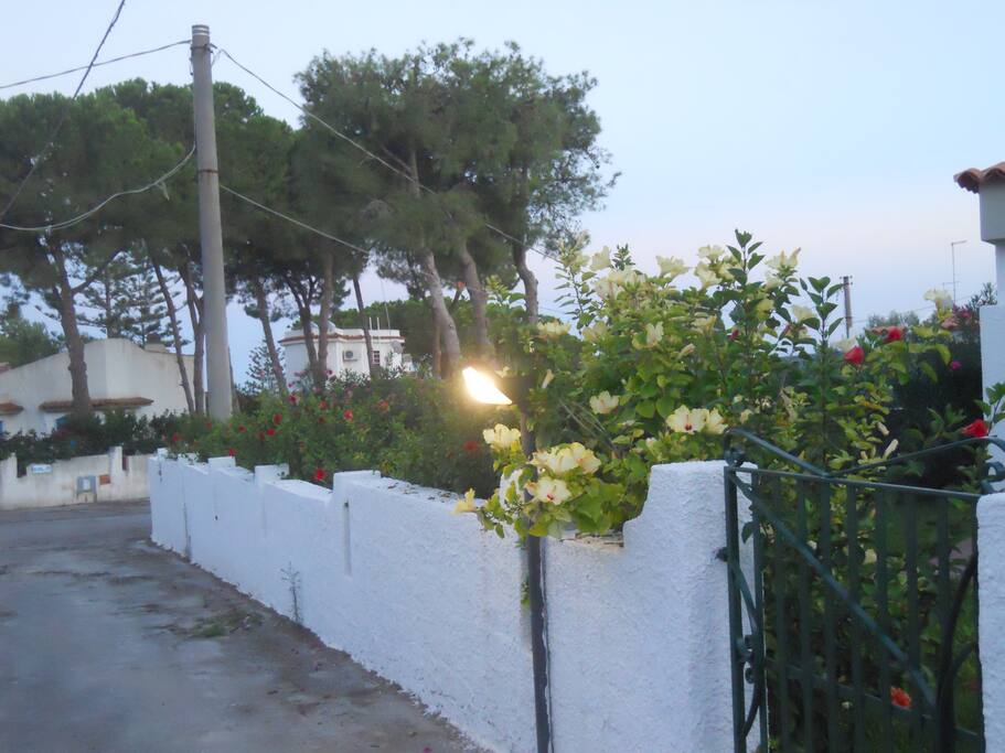 ingresso