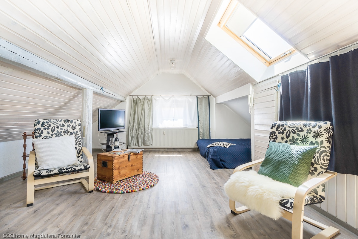 The open living area features a spacious double bed and a cozy seating arrangement with two chairs. Natural light floods the space through a skylight and window, while a wooden coffee table adds a rustic touch. Neutral tones and light wood create a welcoming ambiance.