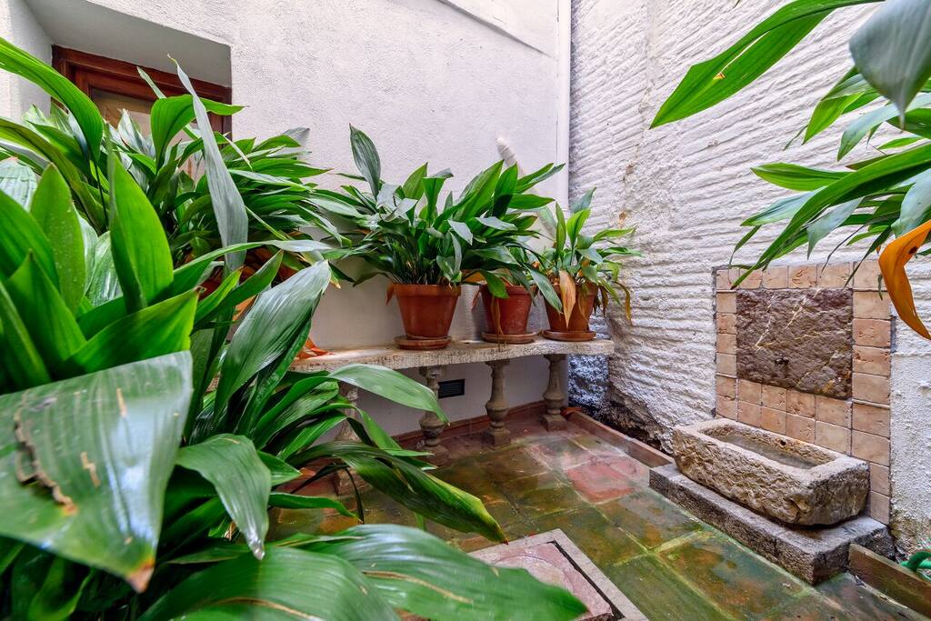 patio exterior