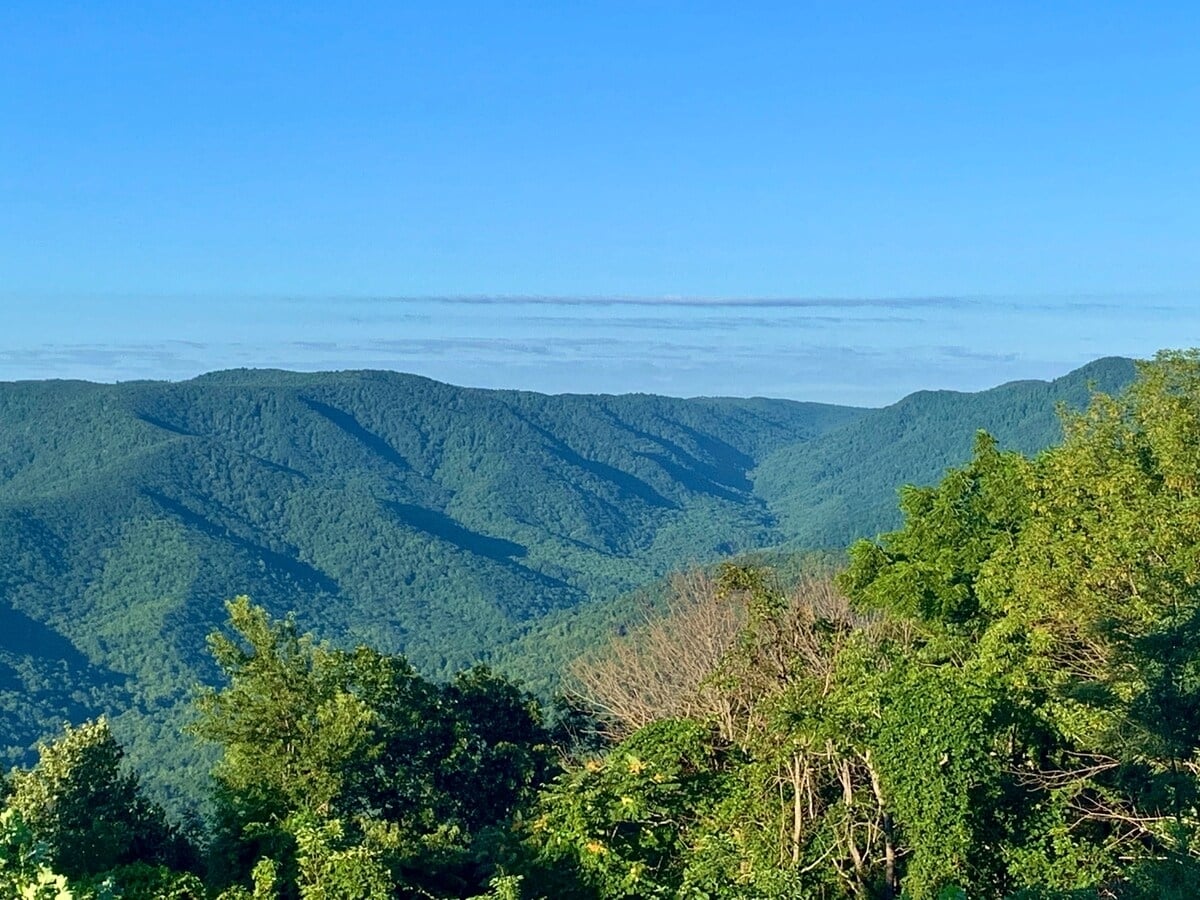 Expansive views of rolling green mountains stretch under a clear blue sky. The landscape is adorned with layers of trees, creating a rich tapestry of greenery. The peaceful vista invites a connection with nature.