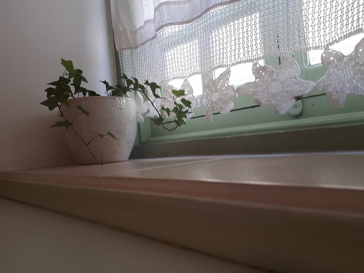 打扫空间的绿色公司