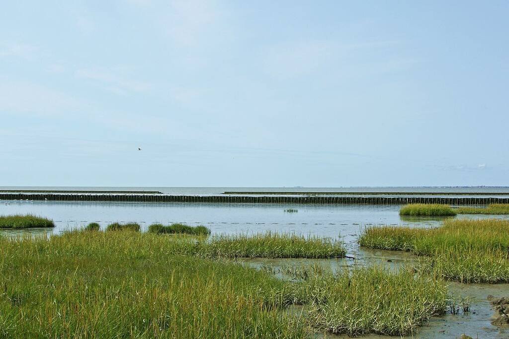 Die schöne Nordsee