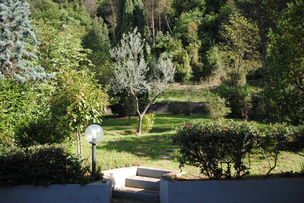 giardino