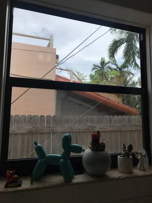 Kitchen window