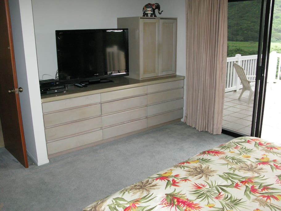 Large Flat Screen TV and DVD player