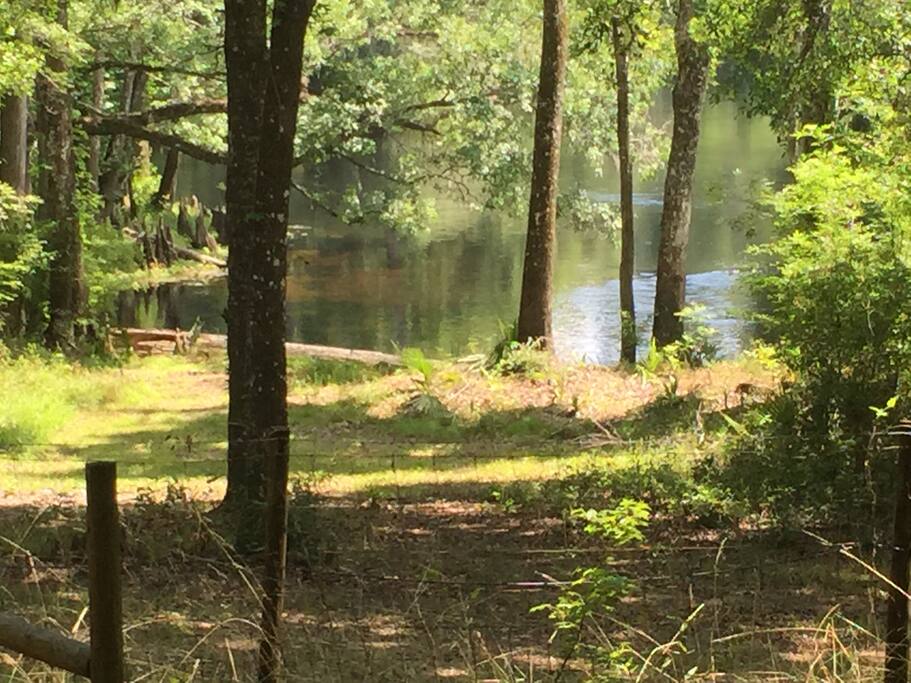 view from deck