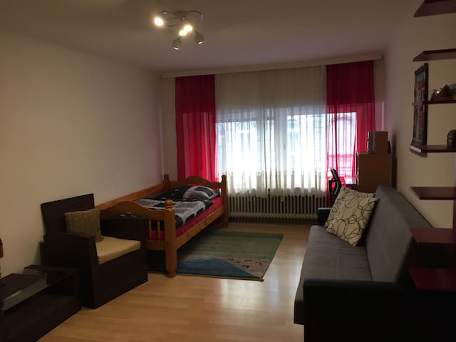 Airbnb Ilvesheim Holiday Rentals Places To Stay Baden Wurttemberg Germany