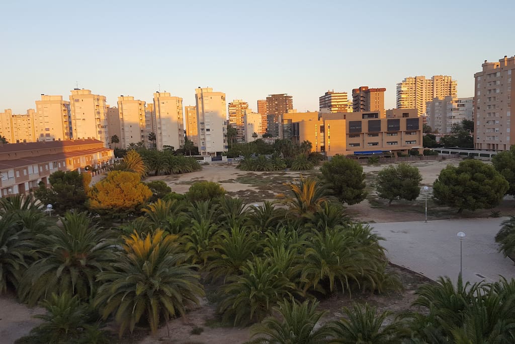 View from the Apartment