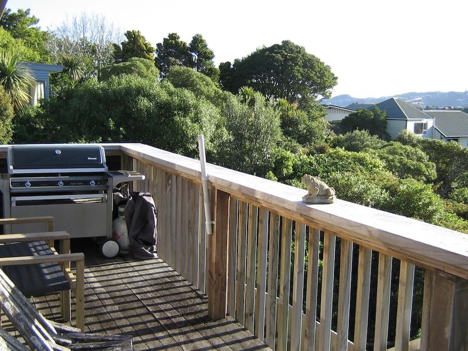 Our deck