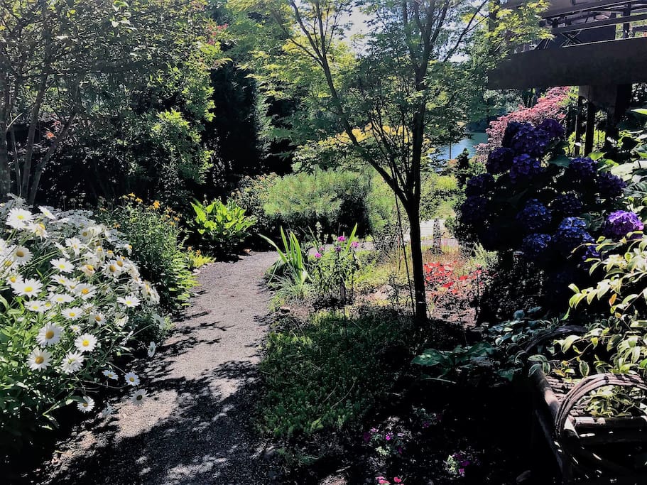 Garden path to Suite