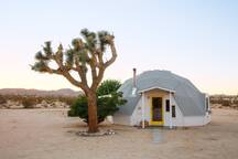 Dome in the Desert in Joshua Tree