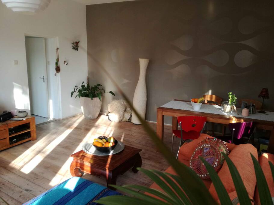 Living room with private hall to toilet, shower, kitchen and bedroom