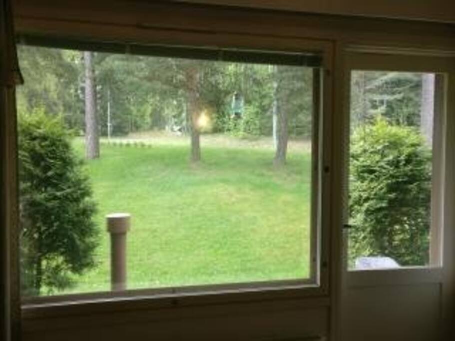 Näkymä huoneesta on vehreä ja puistomainen. Ikkunassa sälekaihtimet.