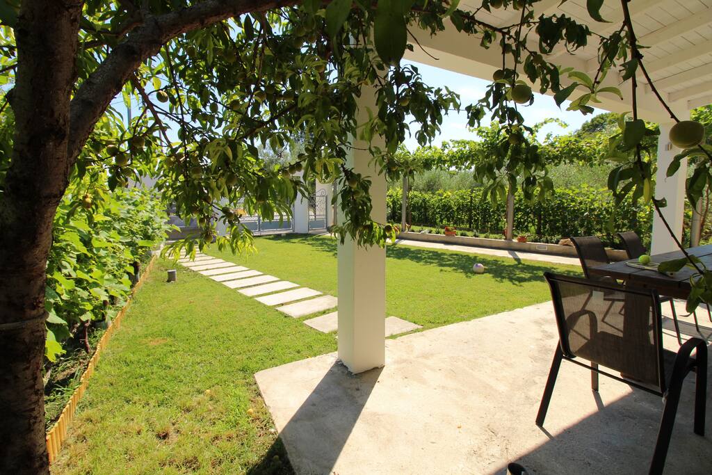 view of garden