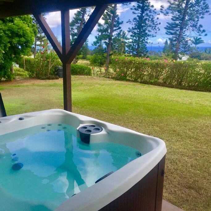 Hot tub and backyard