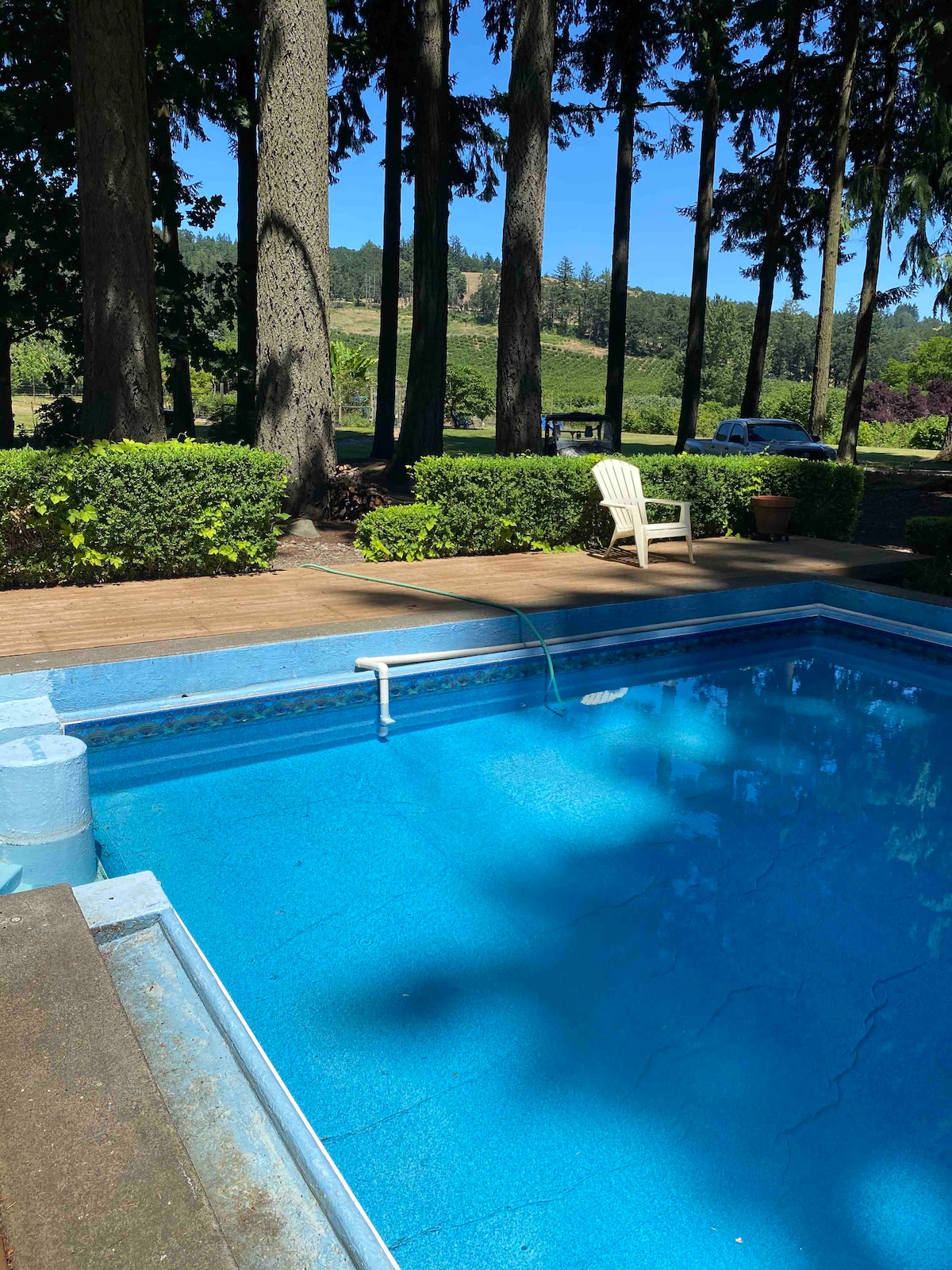 A seasonal heated pool is surrounded by a wooden deck and lush greenery, providing a serene atmosphere. Towering trees line the background, while a single white chair is positioned nearby, inviting relaxation in the peaceful outdoor setting.