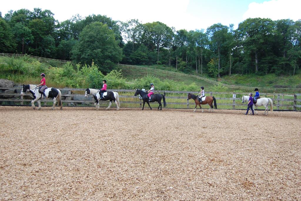 Horse Riding
