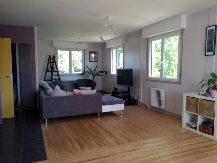 salon