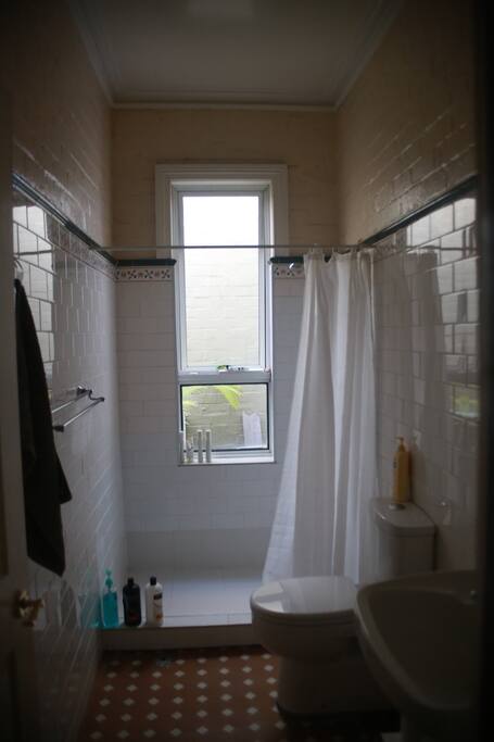 Run of the mill bathroom, with walk in shower. The window open to a light well, hence no need for a curtain.