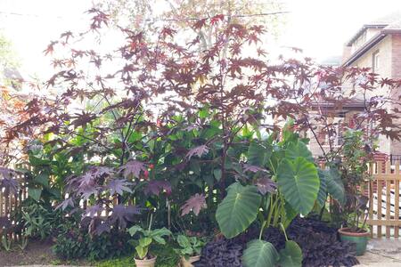 Heart of the City - Cozy Space 2+