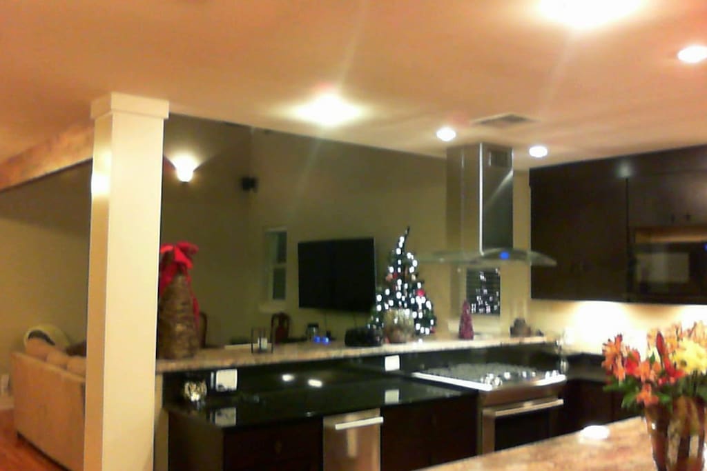 Open Living/Kitchen Area