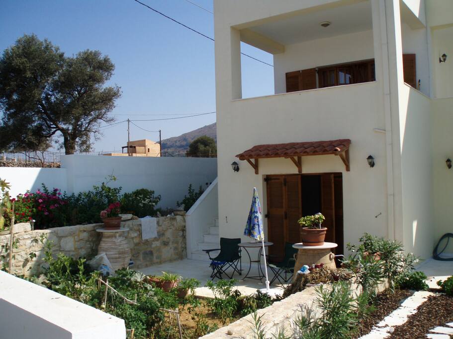 the garden