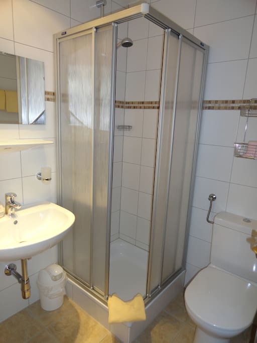 Private Bathroom with Shower and Toilet