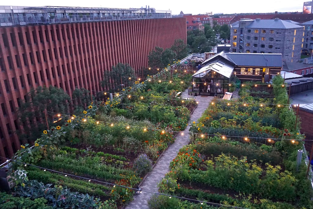 From the balcony you can see down to Østergro - Copenhagen biggest urban garden. Go there for free to enjoy the flowers, a glass of wine or the organical locally produced meal.