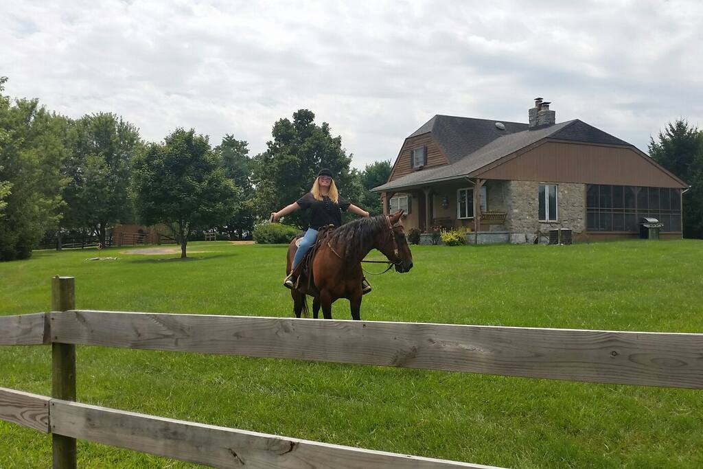 horse back riding