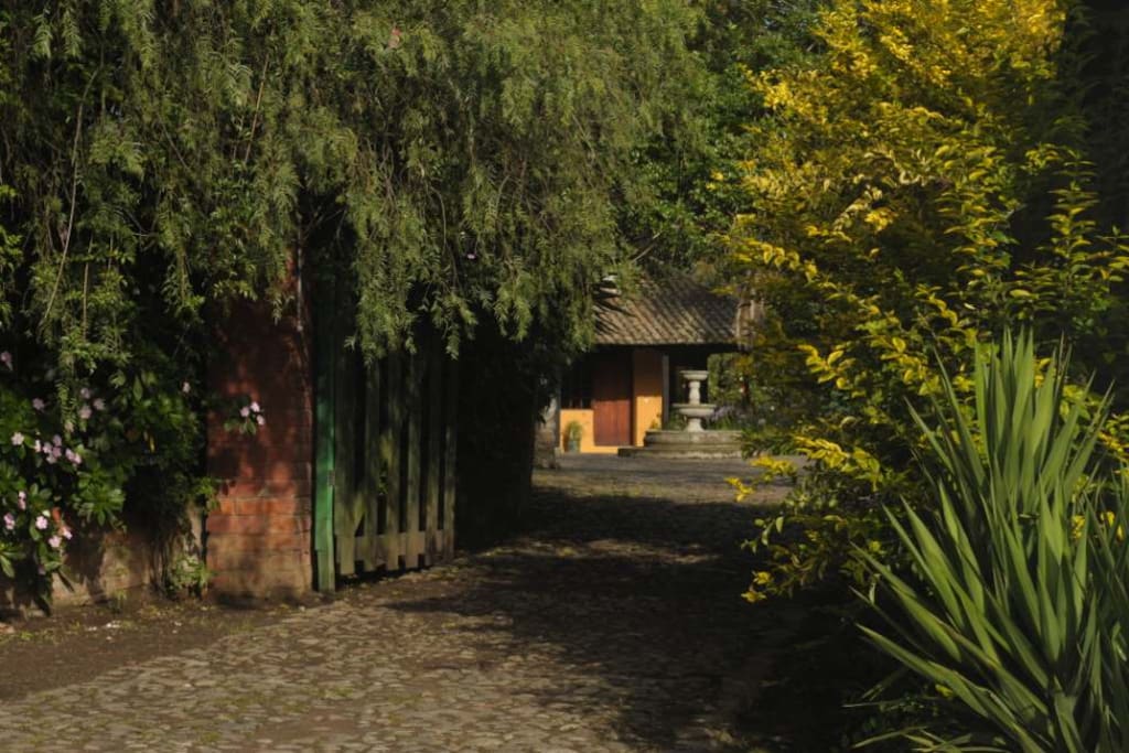 Caminos y Jardines