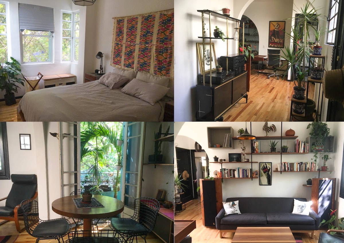 The image displays four views of a well-decorated living space featuring a spacious bedroom with a queen bed, a small dining area for four, a comfortable seating area, and a bright room filled with plants and bookshelves. Natural light is provided by large windows.