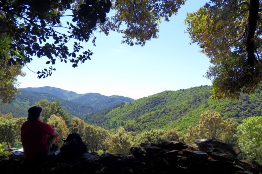 Les cévennes