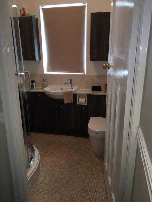 Bathroom (Shower only) with toilet and sink upstairs.
