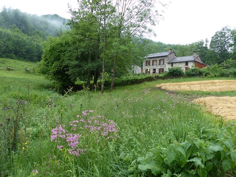 The Ariège Pyrenees in a very natural setting