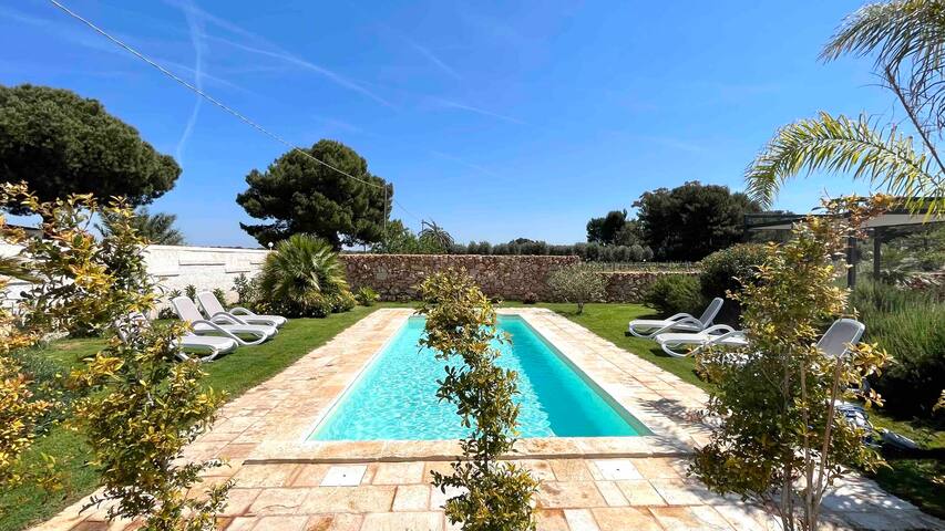 Villa, pool & vineyards, San Pietro in Bevagna gallery image 2