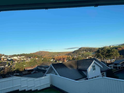 Spacious detached house near the Kongeparken