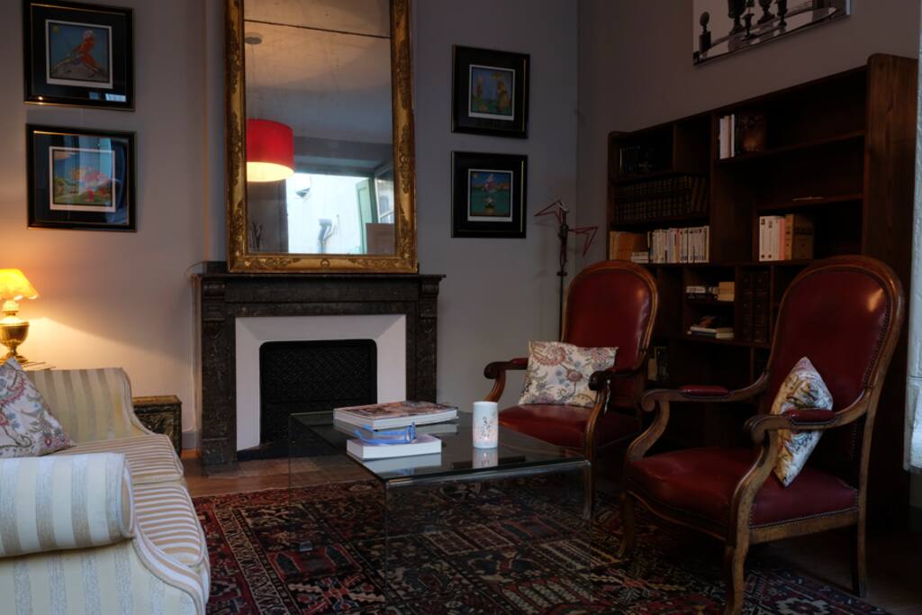 Salon, bibliothèque