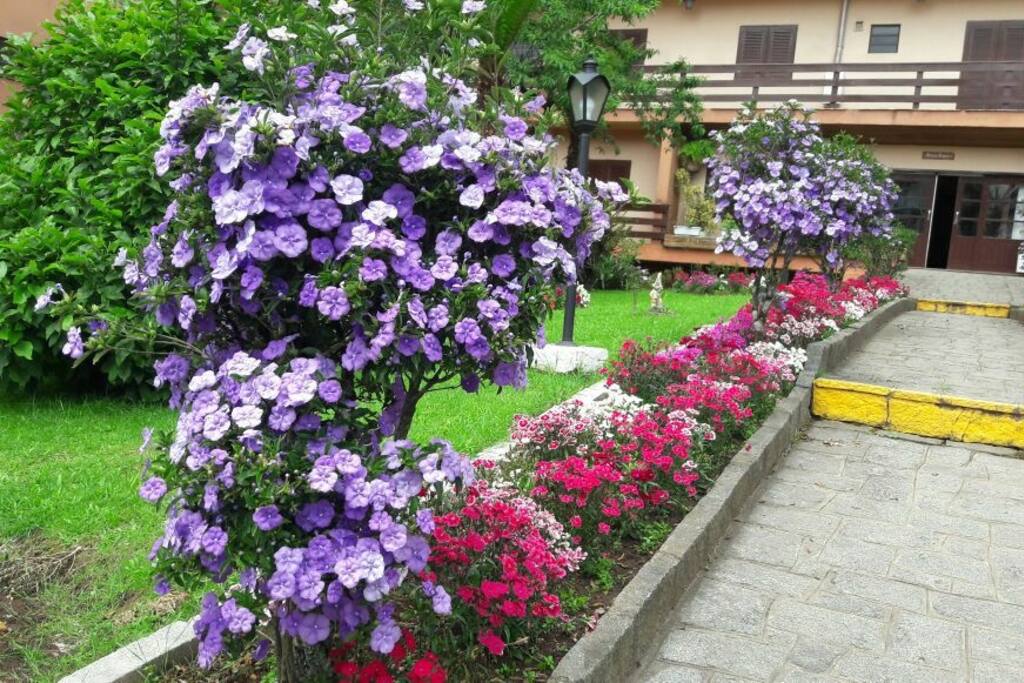 Escadaria cercada de belíssimas flores