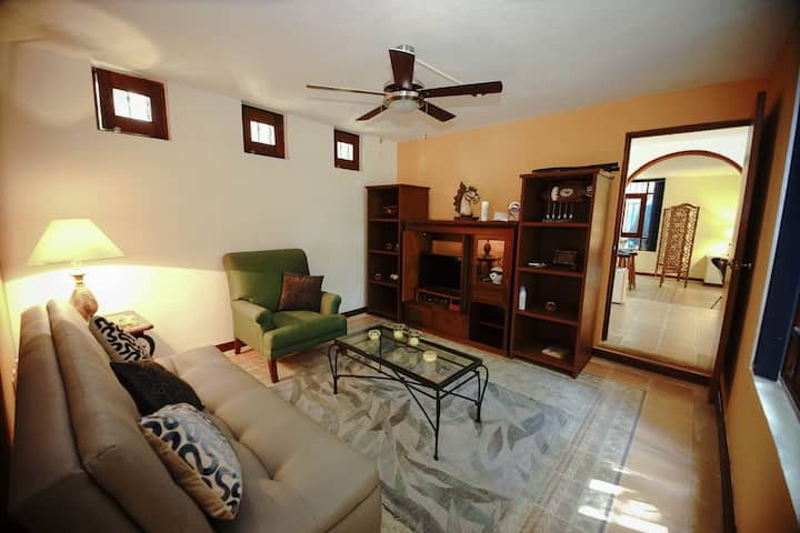 Телевизорна стая