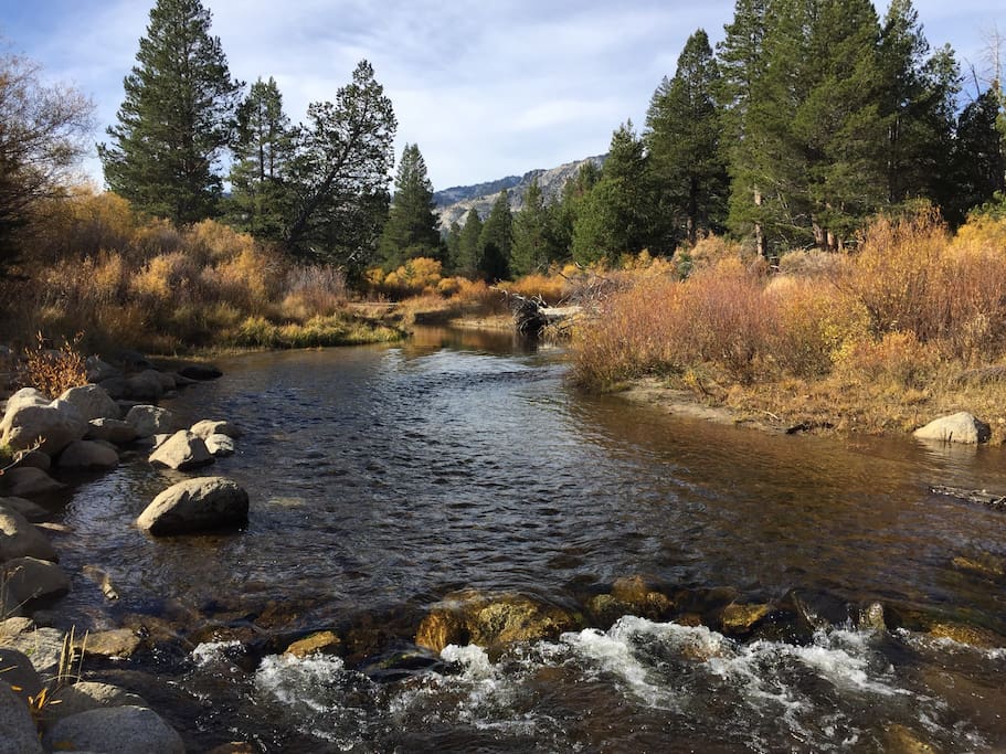 Next to a beautiful river and many hiking trails