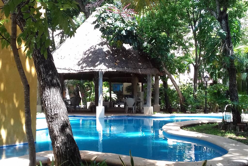 Contamos con una alberca y palapa nuestro pequeño oasis.