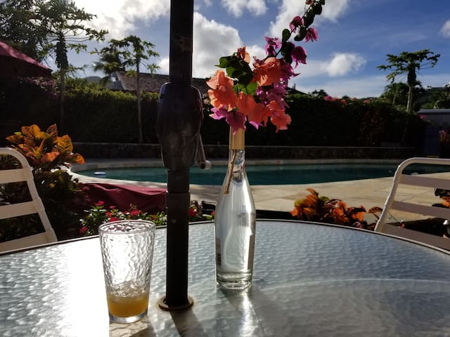 ❤❤❤❤❤ FemaleOnly Laundry Coffee Pool Safe FunRelax