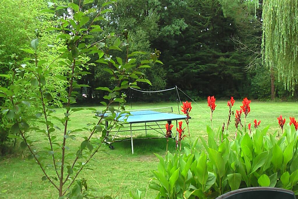 un grand terrain , une table de ping pong, raquettes a disposition