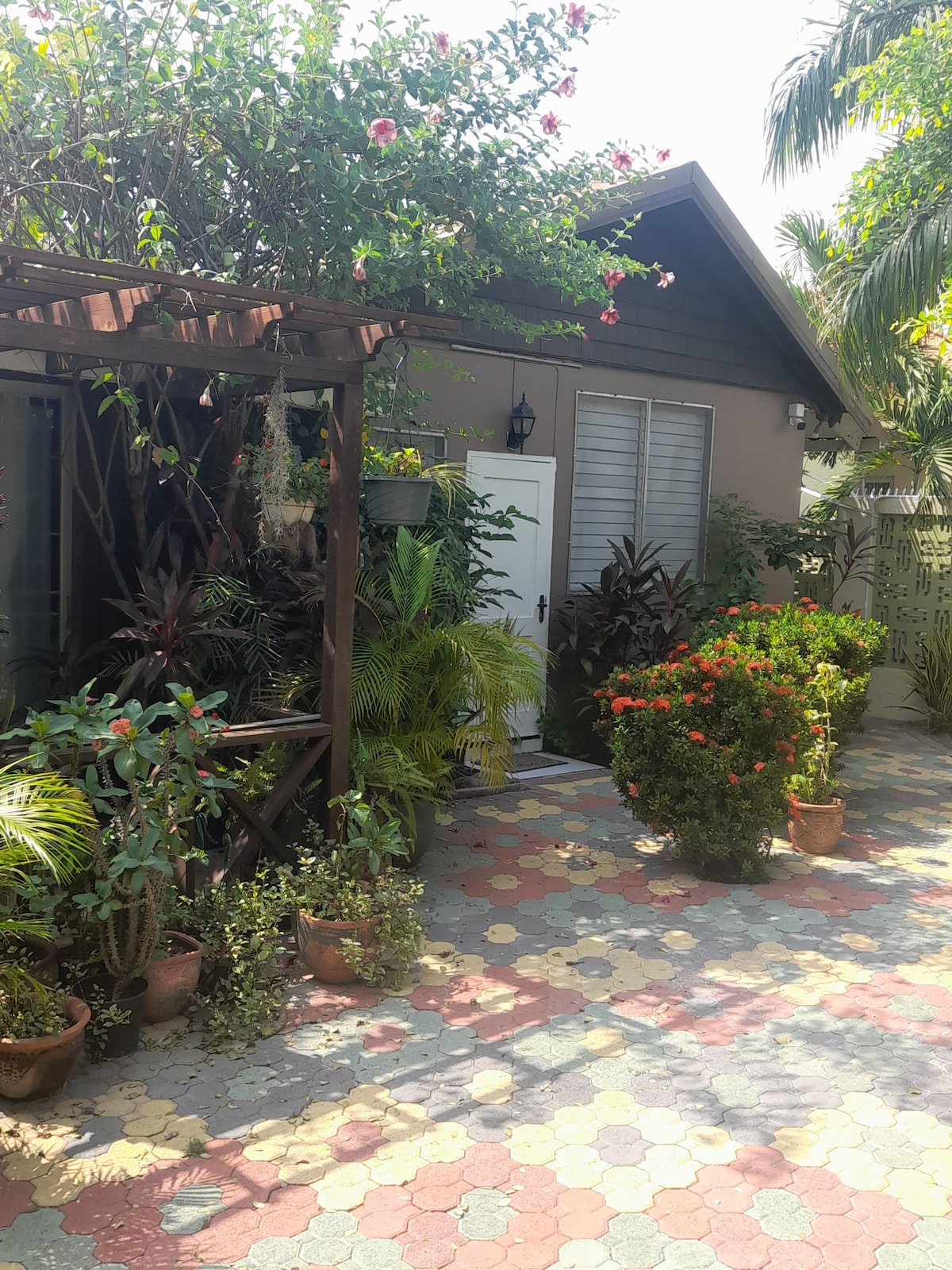 A landscaped entrance showcases a variety of vibrant plants and flowers, with colorful stone pavement leading to a well-lit doorway. Lush greenery frames the area, creating a serene and welcoming environment.