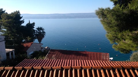 Popular Airbnb listing: Dream house nearby the sea for family vacation in Čelina