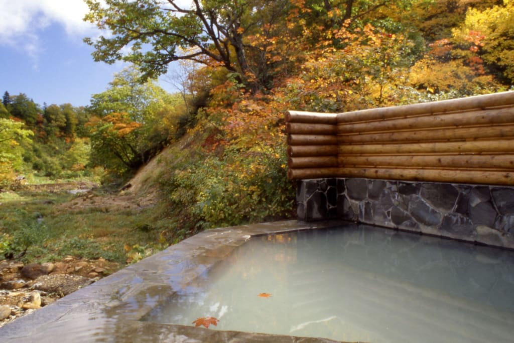 Natural hot spring - out side -