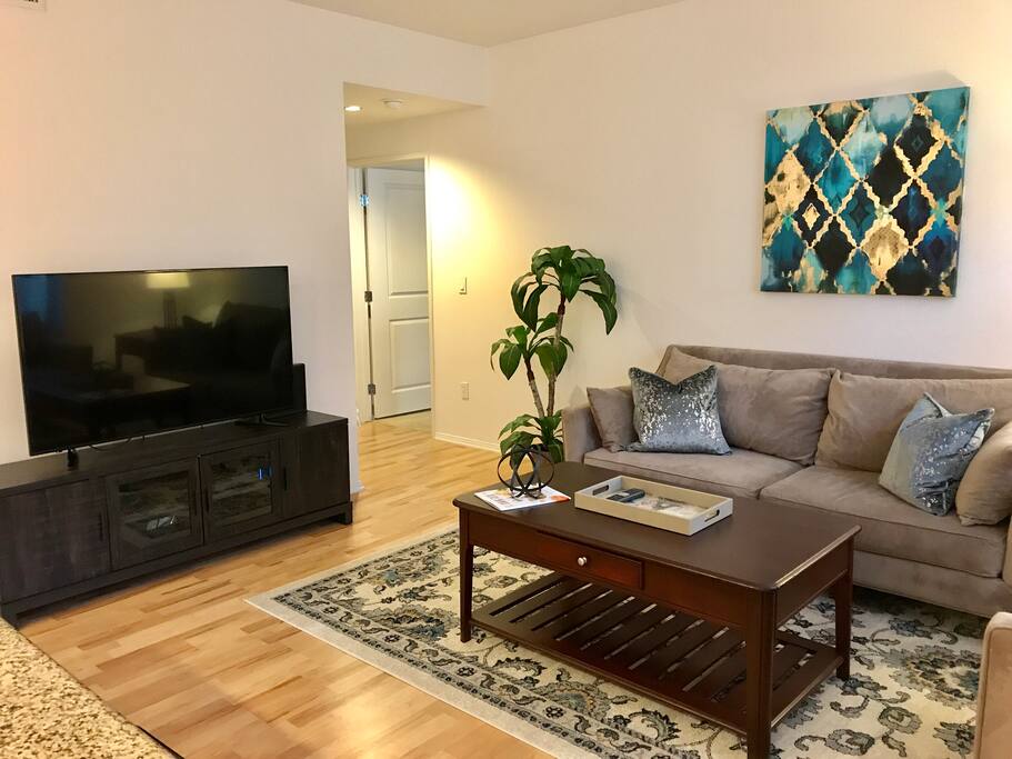 55" flatscreen tv with cable and a fire stick for Netflix, HBO go, amazon prime and other streaming.